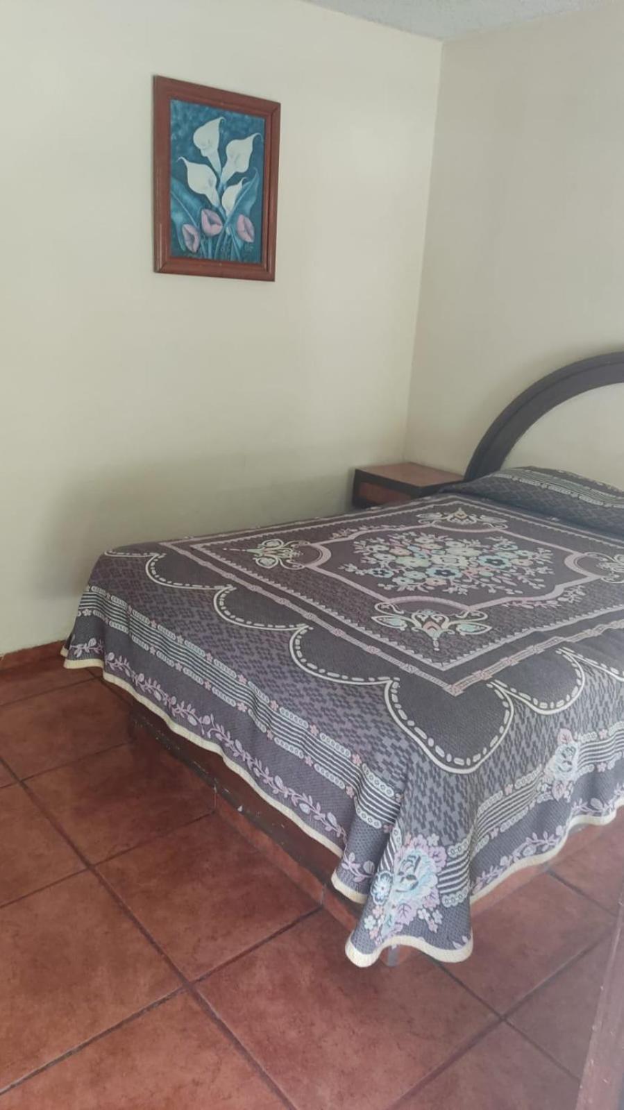 Hotel D' Alba Rio Blanco  Kültér fotó